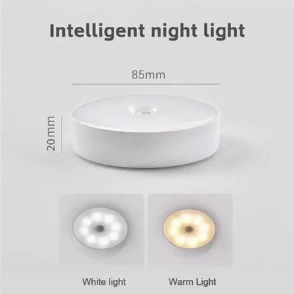 Motion Sensor Rechargeable LED Light